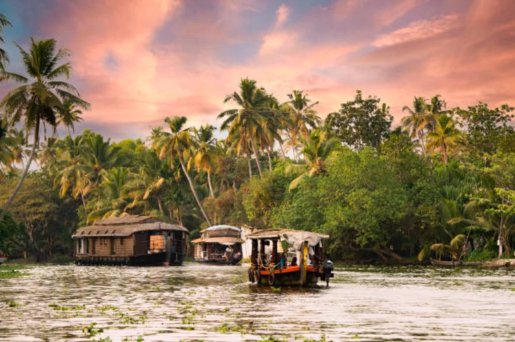 "The beauty of Alleppey captured in its serene backwaters and traditional Kerala houseboats."