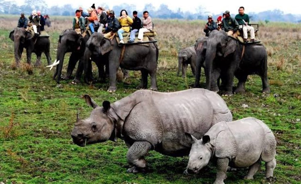 Assam: Land of the Red River and Blue Hills - Majestic Brahmaputra River, Tea Gardens, and Scenic Landscapes.