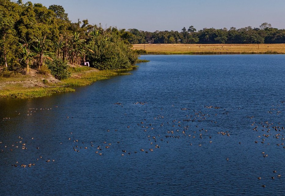 Assam: Land of the Red River and Blue Hills - Majestic Brahmaputra River, Tea Gardens, and Scenic Landscapes.