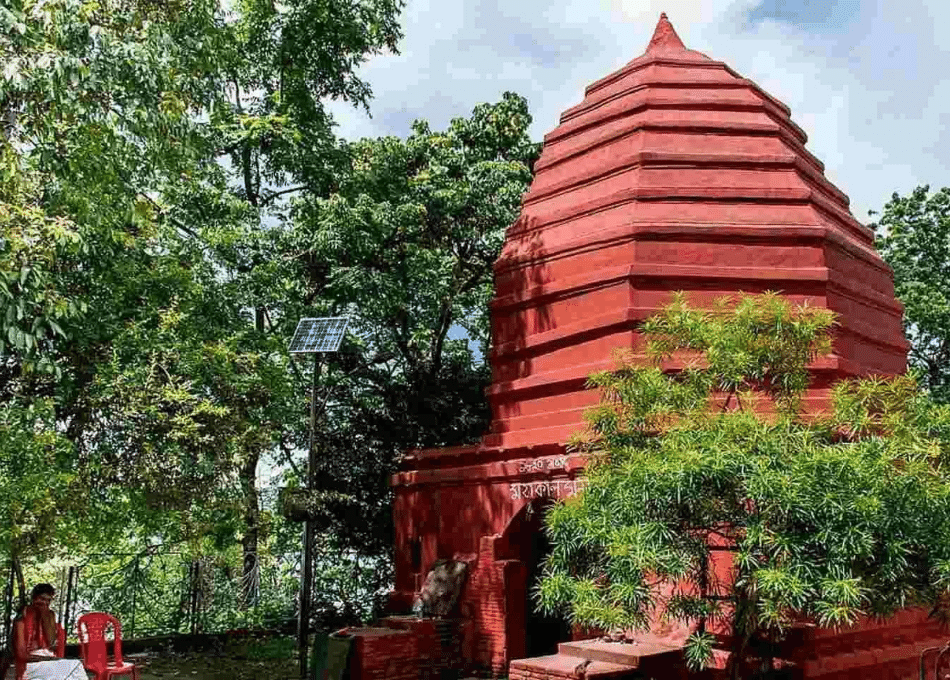 Assam: Land of the Red River and Blue Hills - Majestic Brahmaputra River, Tea Gardens, and Scenic Landscapes.