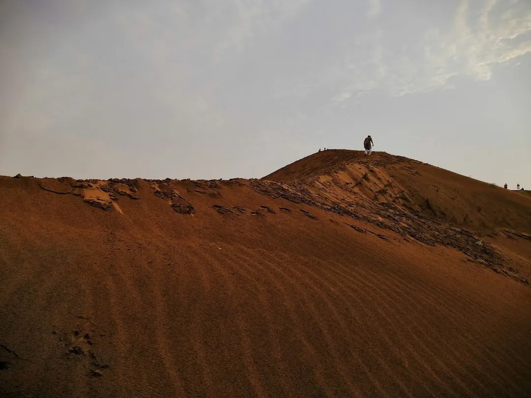 "Tourists enjoying Suratgarh desert adventures on sand dunes at sunset"