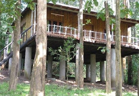 Pollachi – Gateway to verdant hills and coconut plantations, with the majestic Western Ghats framing the lush countryside of Tamil Nadu.